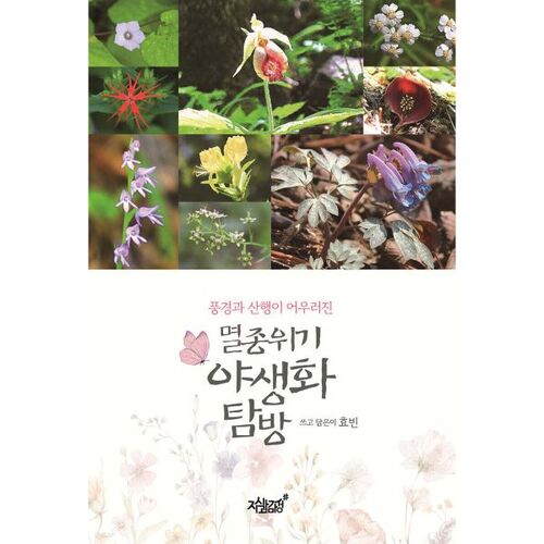 Endangered Wildflower Exploration 