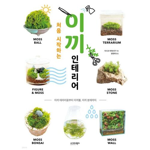 Moss interior for beginners 