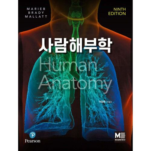 anatomie humaine 