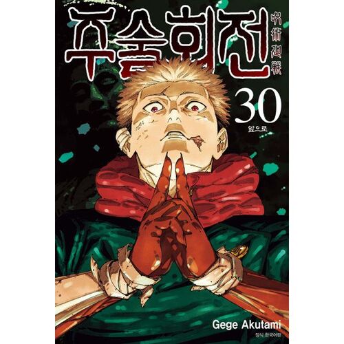 Jujutsu Kaisen 30 Standard Edition 