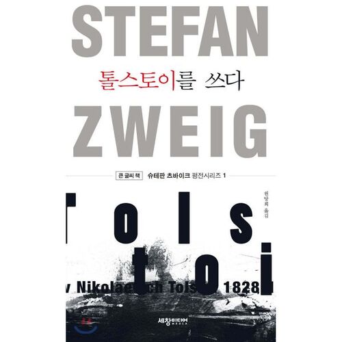 톨스토이를 쓰다 (큰글씨책)