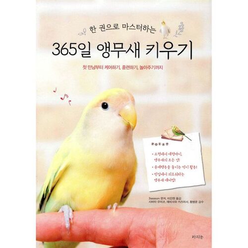 Raising a Parrot 365 Days a Year 