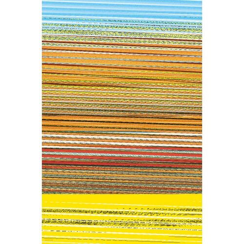 Les Annales de la dynastie Joseon en un seul volume 