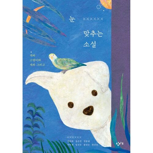 Un roman qui établit un contact visuel 