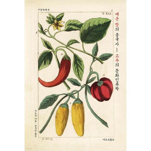 Histoire chinoise épicée 