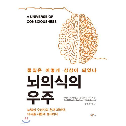 L'univers de la conscience cérébrale 