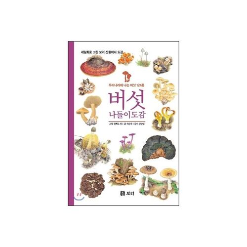 Guide du pique-nique aux champignons 