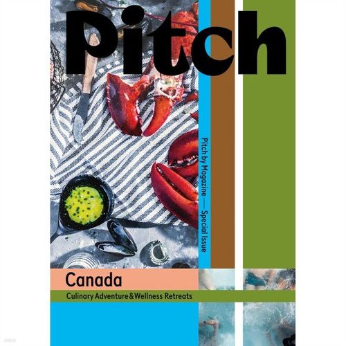 Pitch par Magazine (Trimestriel) : Vol. 17 [2025] 