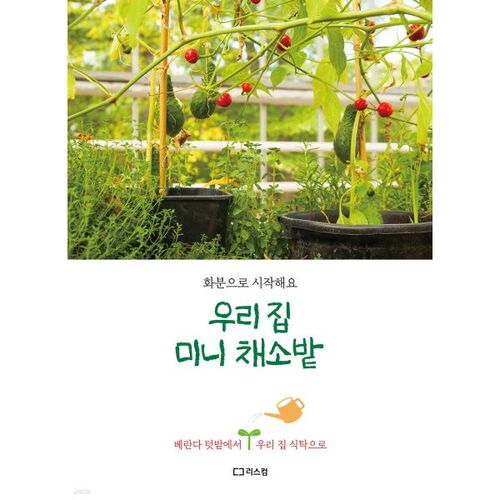 Our house's mini vegetable garden 