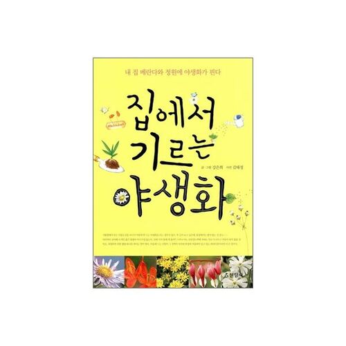 Fleurs sauvages cultivées à la maison 