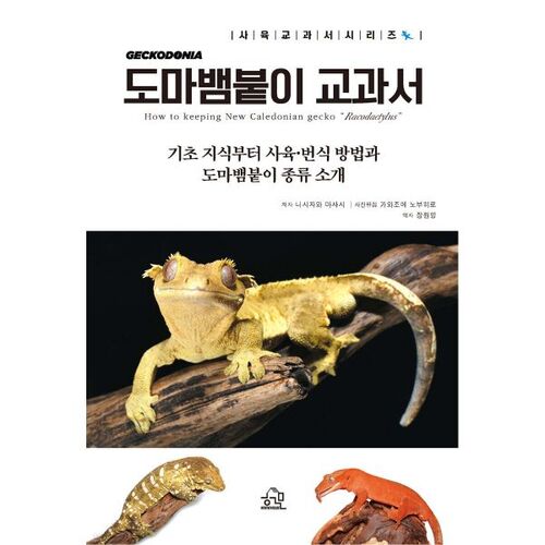 Gecko Textbook 