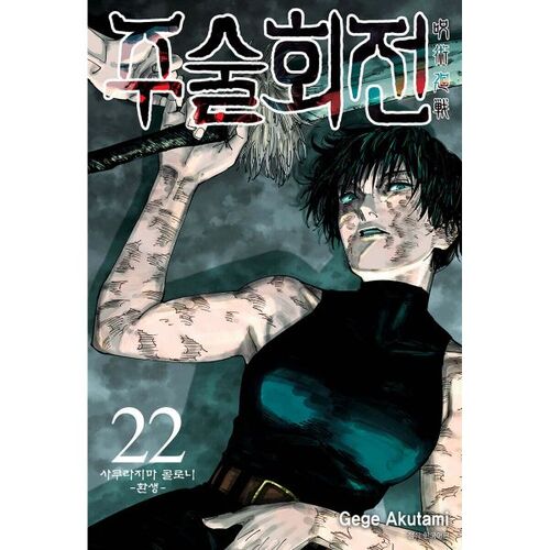 Jujutsu Kaisen 22 Standard Edition 