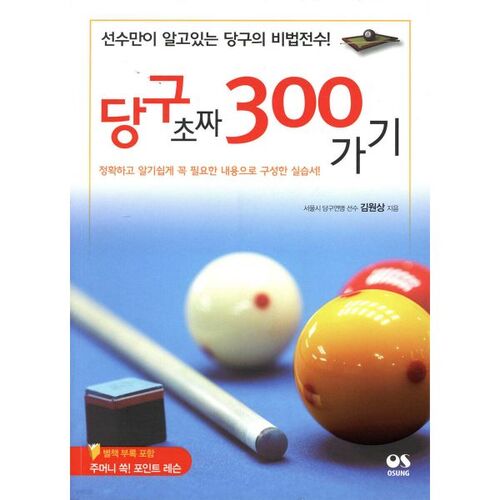 Billiards Beginner 300 
