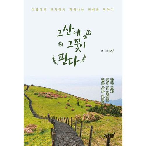 That flower blooms on that mountain 