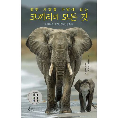 Tout ce que vous devez savoir sur les éléphants 