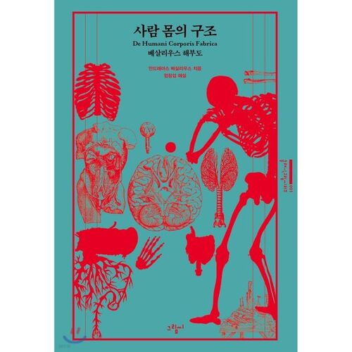 Structure of the human body 