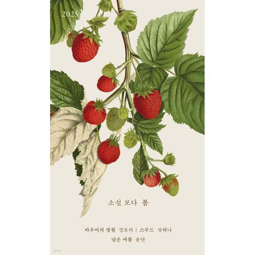 More Than a Novel: Spring 2025 