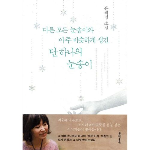 Un seul flocon de neige qui ressemble beaucoup à tous les autres 