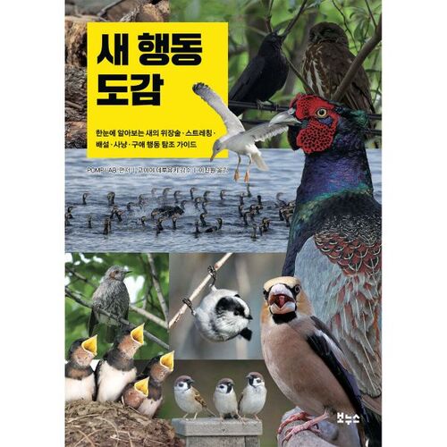 New Behavior Encyclopedia 