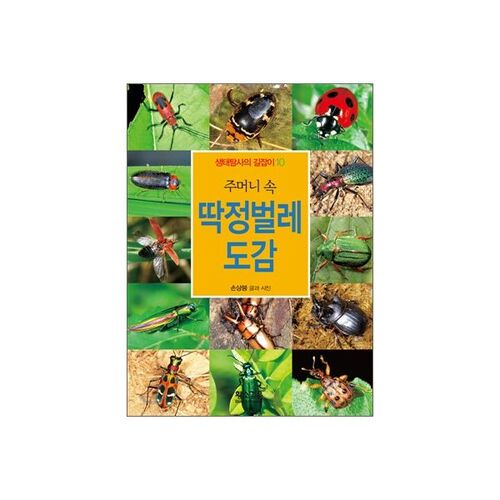 Pocket Beetle Encyclopedia 