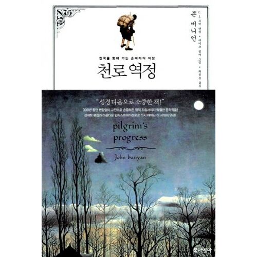 Le voyage du pèlerin 