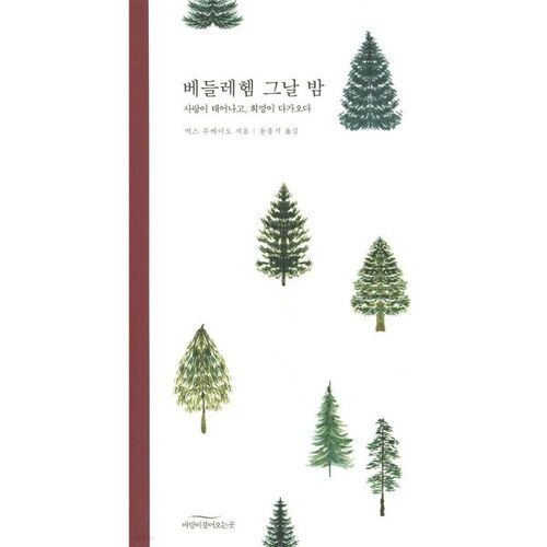 Cette nuit-là à Bethléem 