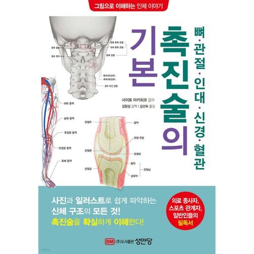 Principes de base de la palpation des os, des articulations, des ligaments, des nerfs et des vaisseaux sanguins 
