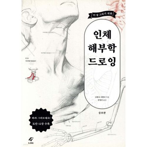 Dessin d'anatomie humaine pour améliorer son dessin 