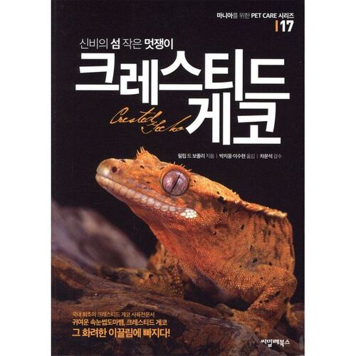 Mysterious Island Little Dapper Crested Gecko 