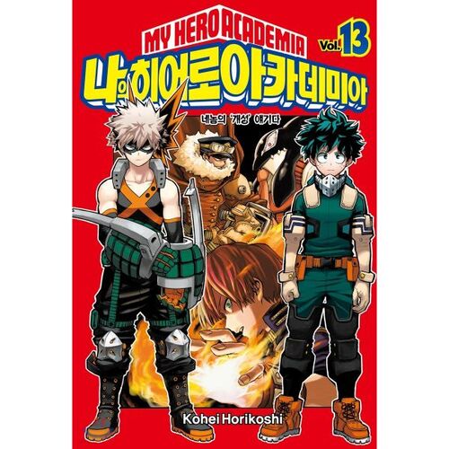 My Hero Academia 13 